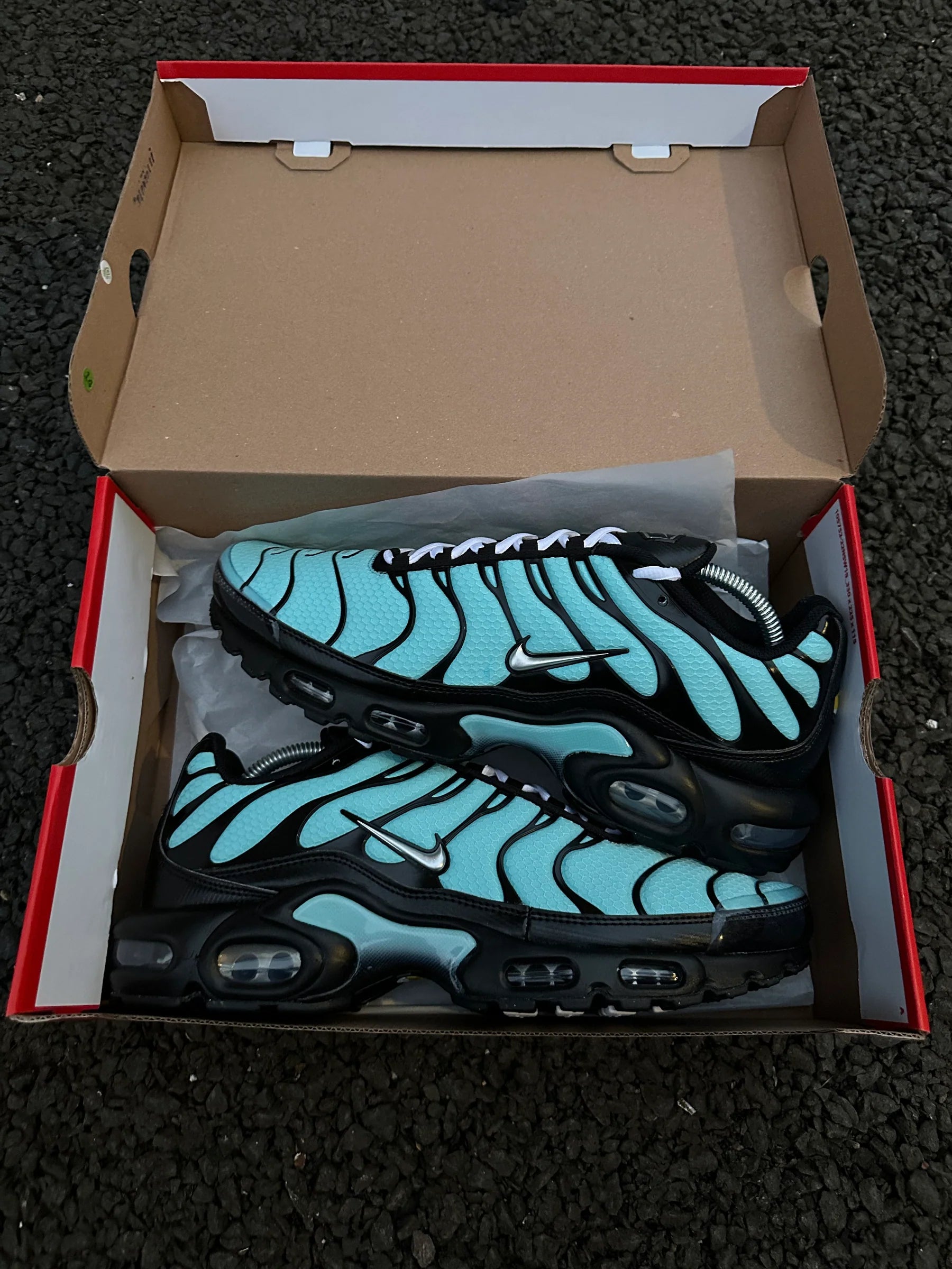 Nike Air Max Plus TN - Bleu Tiffany