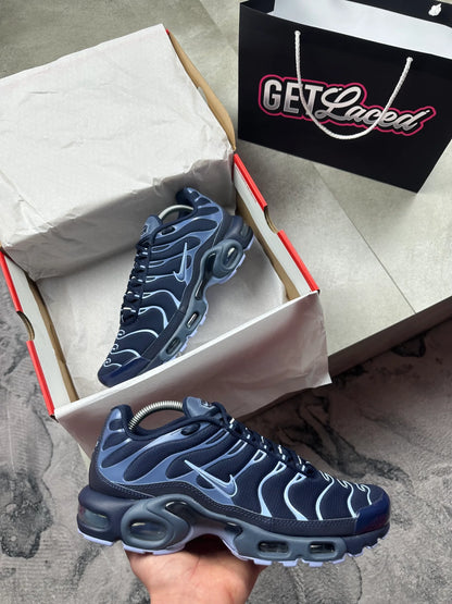Nike Air Max Plus TN - Bleu aluminium