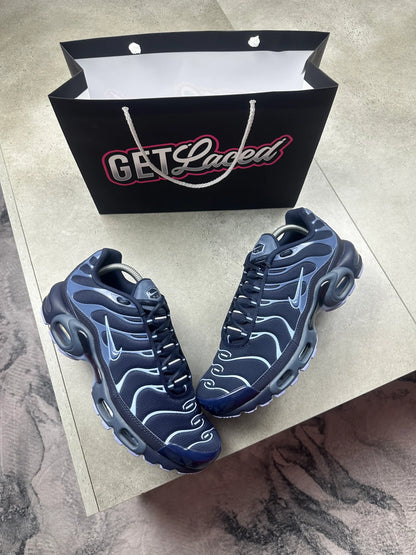 Nike Air Max Plus TN - Bleu aluminium